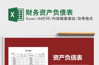 2025年财务资产负债表