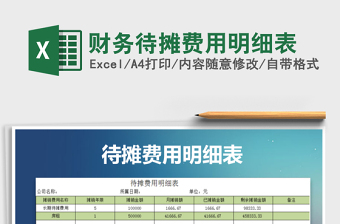 2025年财务待摊费用明细表