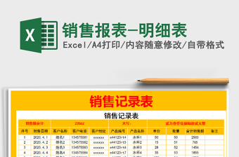 2025年销售报表-明细表
