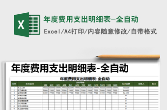 2025年项目费用支出明细表