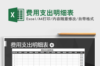 2025年费用支出明细表