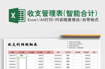 2025年收支管理表(智能合计)