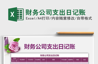 2025年财务公司支出日记账