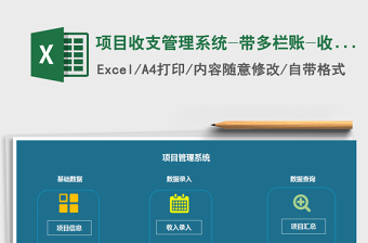 2024年项目收支管理系统-带多栏账-收支图表