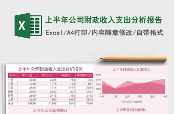 2025年上半年公司财政收入支出分析报告