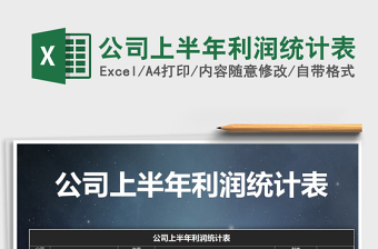 2025年公司上半年利润统计表