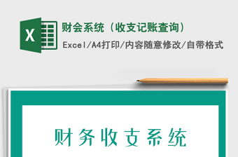 2025年财会系统（收支记账查询）