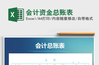 2025年会计资金总账表