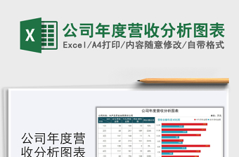 2025年公司年度营收分析图表