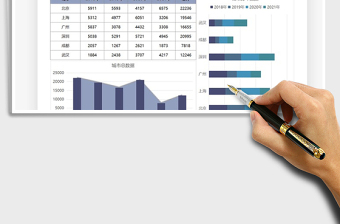 2025年公司各地区数据分析可视化报告