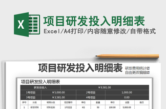2025年项目研发投入明细表