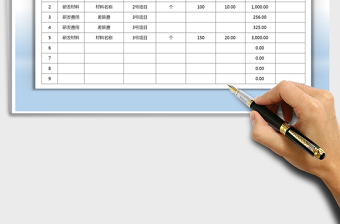 2025年项目研发投入明细表