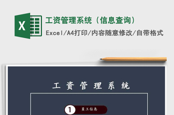 2025年工资管理系统（信息查询）