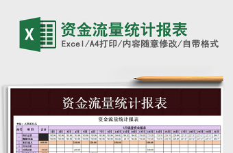 2025年资金流量统计报表