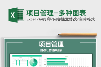 2024年项目管理-多种图表