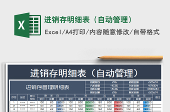 2025年进销存明细表（自动管理）