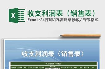 2025年收支利润表（销售表）