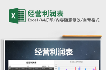 2025年经营利润表