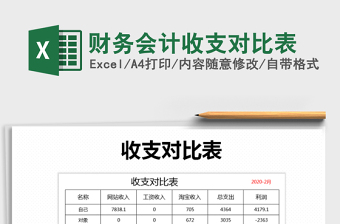 2025年财务会计收支对比表
