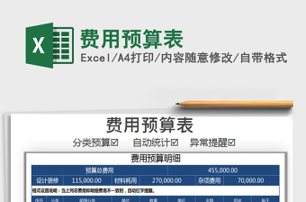 2025年费用预算表