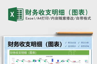 2025年财务收支明细（图表）