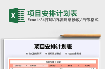 2025年项目安排计划表