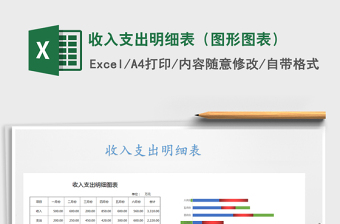 2025年收入支出明细表（图形图表）