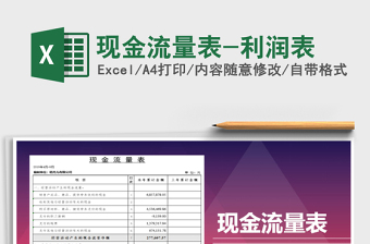 2025年现金流量表-利润表