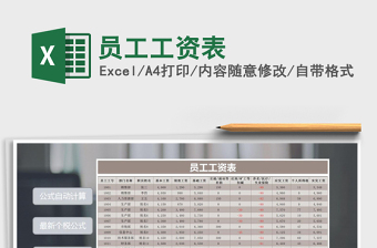 2025年员工工资表