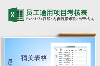 2025年员工通用项目考核表