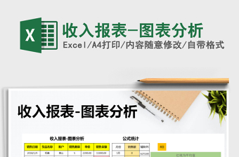 2025年收入报表-图表分析