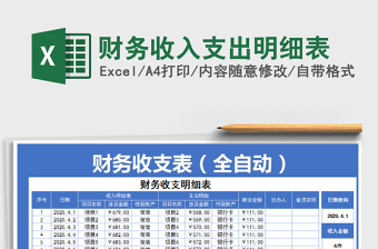 财务收入支出明细表