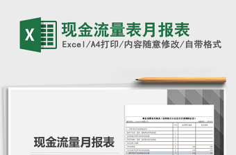 2025年现金流量表月报表