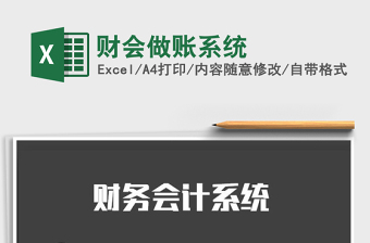 2025年财会做账系统