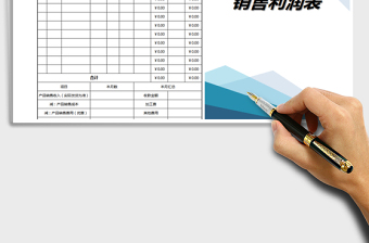 2025年销售利润表