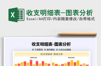 2025年收支明细表-图表分析
