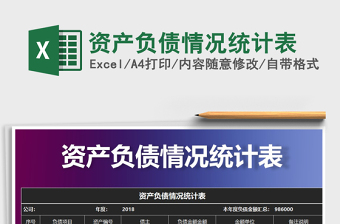 2025年资产负债情况统计表