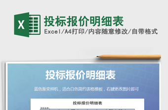 2025年投标报价明细表