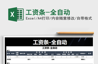 2025年工资条-全自动