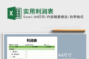 2025年实用利润表