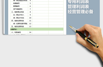 2025年实用利润表