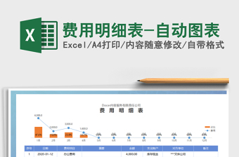 2025年费用明细表-自动图表