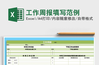 2025年工作周报填写范例