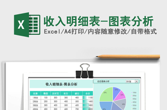 2025年收入明细表-图表分析