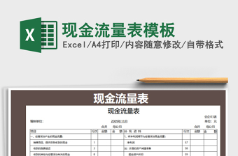 2025年现金流量表模板
