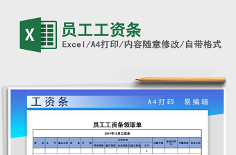 2025年员工工资条