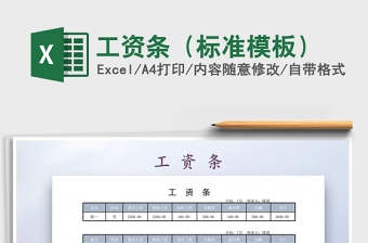 2025年工资条（标准模板）