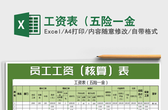 2025年工资表（五险一金