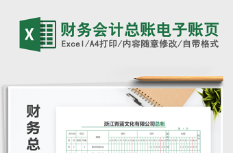 财务会计总账电子账页