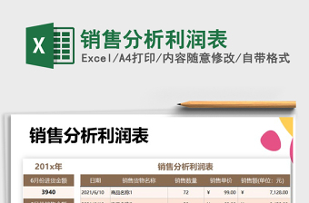 2025年销售分析利润表